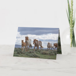 Convite The Wild Roan Family Runs Greeting Card