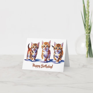 Convite Trio de Tabby Kittens Foled Card