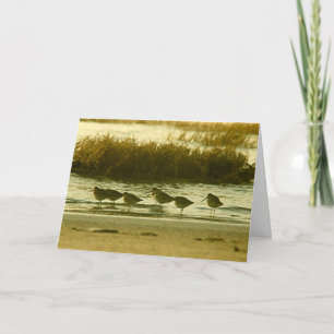 Convite - Venha e se junte à festa!