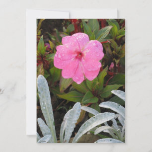 Convite Wet Flower, personalizar