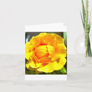 Convite Yellow Rose Greeting Card