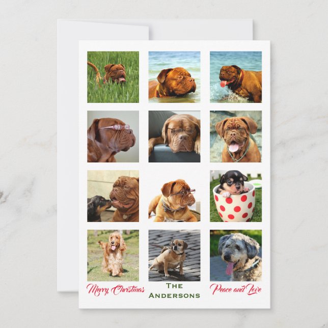 Convites 12 Imagem Incrível Colagem da Família Natal (Frente)