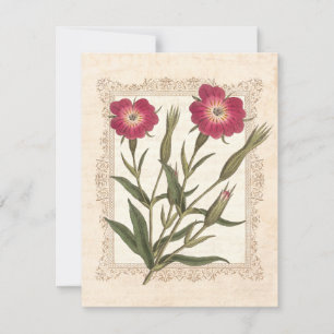 Convites A 50ª Festa de aniversário da Senhora de Jardinage