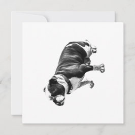 Convites A Calm Place to Sit