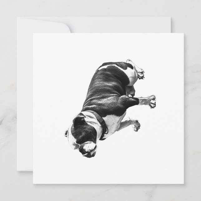 Convites A Calm Place to Sit (Frente)