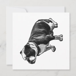 Convites A Calm Welcome