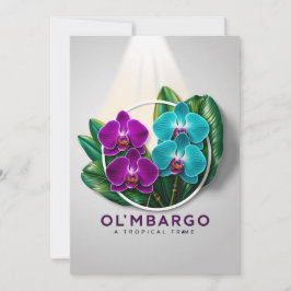 Convites a experiência da noite escondida não é apenas sobr