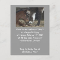 A festa de aniversário engraçada convida o cavalo