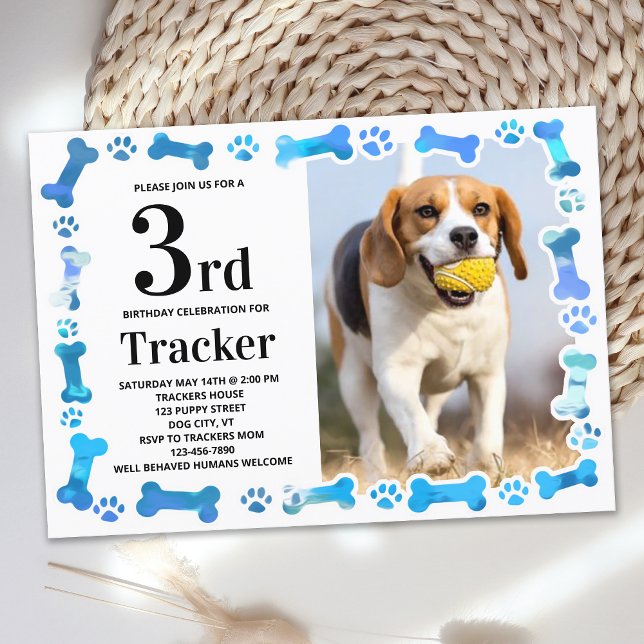 Convites A pata azul imprime fotos personalizadas de Festa  (Criador carregado)