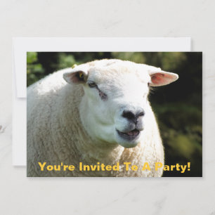 CONVITES A RAM