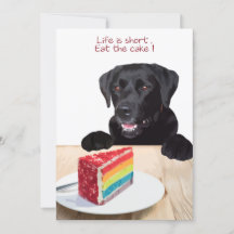 A vida é curta, coma o bolo - Black Lab