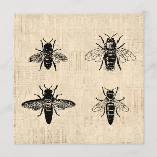 Convites Abelhas - Ilustração Antiquada Design de Pintura d