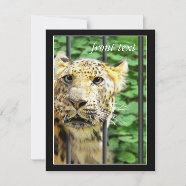 Convites Acidente no zoológico (Frente)