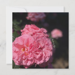 Convites Adesivos rosados rosados