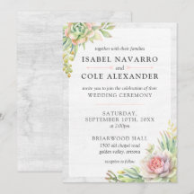 Água-forte Rústica Suculenta Deserto Cactus Casame