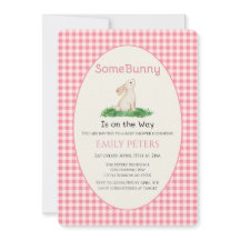 Algum Coelhinho Chuveiro de Bebê Rosa