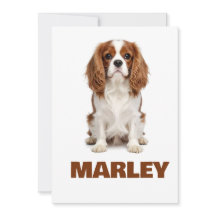 Amor Personalizado Nome do Amante de Cachorro