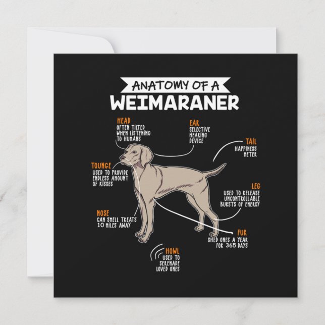 Convites Anatomia De Um Cachorro Weimaraner (Frente)
