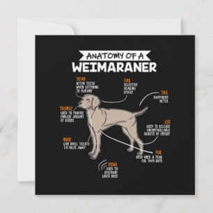 Convites Anatomia De Um Cachorro Weimaraner