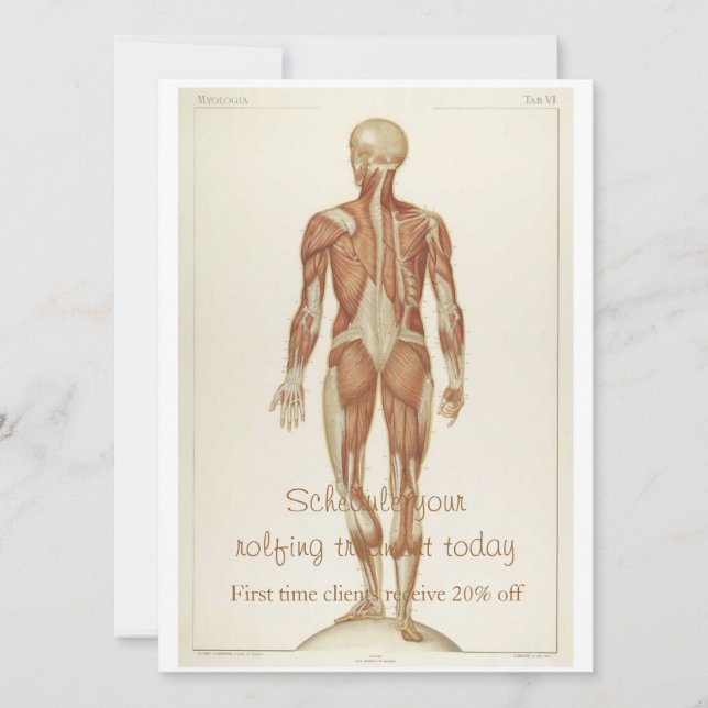 Convites Anatomia posterior (Frente)