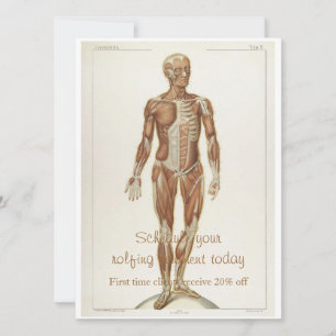 Convites Anatomia superior