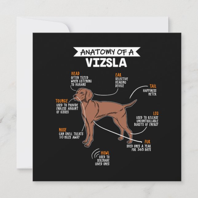 Convites Anatomy Of A Vizsla Dog (Frente)