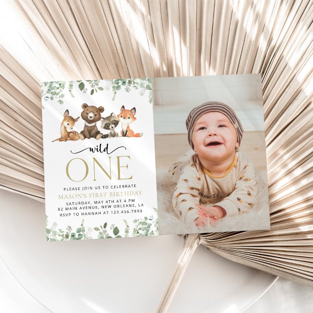 Convites Animais Da Floresta, Floresta, Selvagem Um, Primei (Criador carregado)