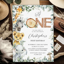 Animais Selvagens Safari Selvagem Um 11 ruas Prime