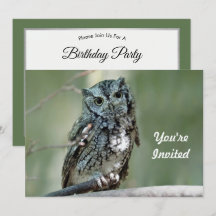 Aniversário da Filtragem da Árvore da Coruja