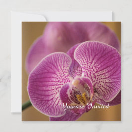 Convites Aniversário da Flor Orquídea Rosa