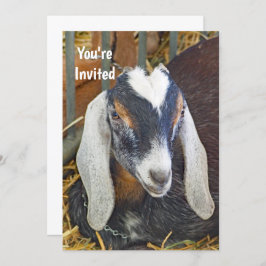 Convites Aniversário da Foto de Capim Nubiano bonito