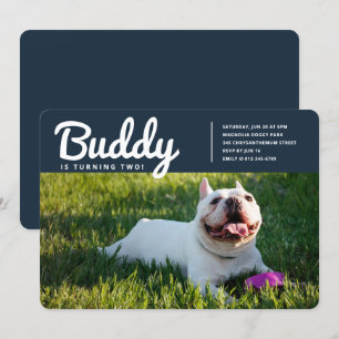 Convites Aniversário da Foto do Cão Pet Puppy Personaliza