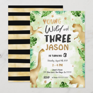 Convites aniversário de 3 anos, aniversário de dinossauro