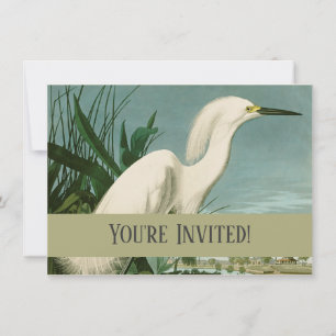 Convites Aniversário de Ave-de-Egrete Branca de Audubon Sno