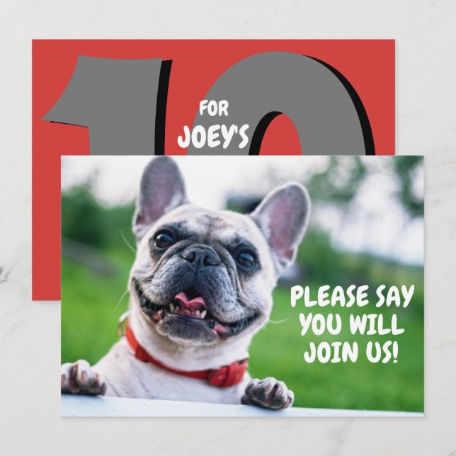 Convites Aniversário de cachorro bulldog francês fofo (qual (Frente/Verso)