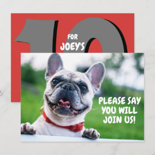 Convites Aniversário de cachorro bulldog francês fofo (qual
