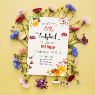 Convites Aniversário de Primavera de Verão de Ladybird Baby