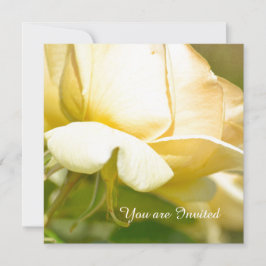 Convites Aniversário de Rosa Amarelo