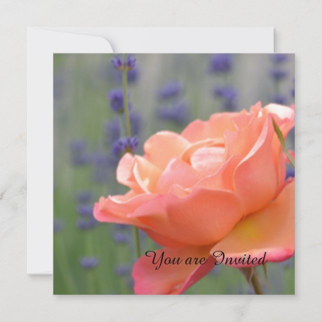 Convites Aniversário de rosa e Lavanda (Frente)