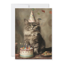 Aniversário Gato