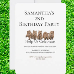 Convites Aniversário temático de wombat