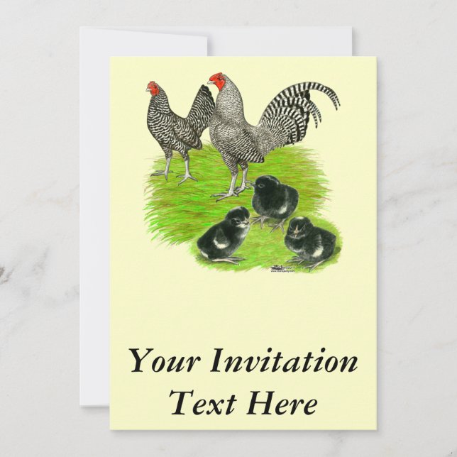 Convites Antiga família Barred Bantam Inglesa (Frente)