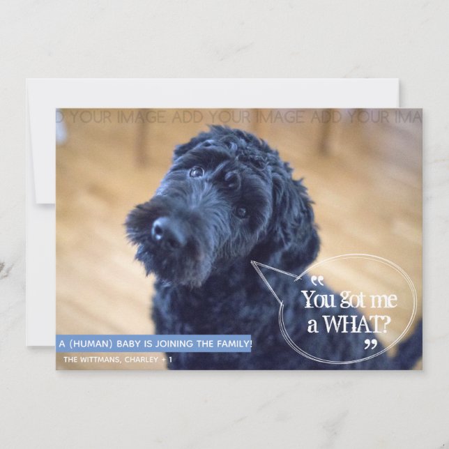 Convites Anunciamento de Gravidez Engraçado (Frente)