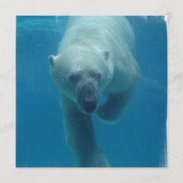 Convites ao Urso Polar de Natação