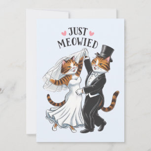 Convites Apenas Meowied Casais Casados Gato Divertido Casam