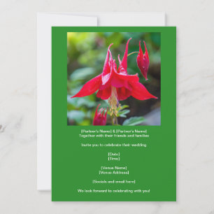 Convites Aquilegia Vermelha Nativa sobre Verde