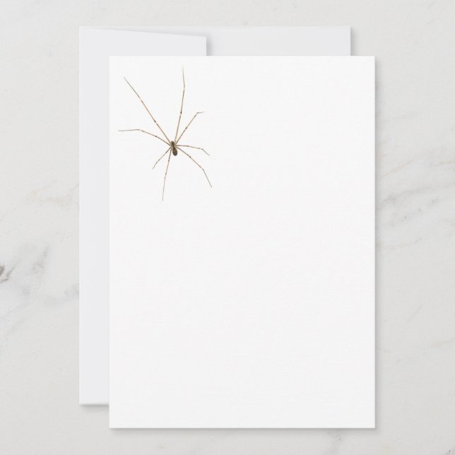 Convites Aranha (Frente)