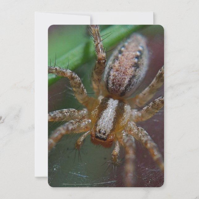 Convites Aranha enorme (Frente)