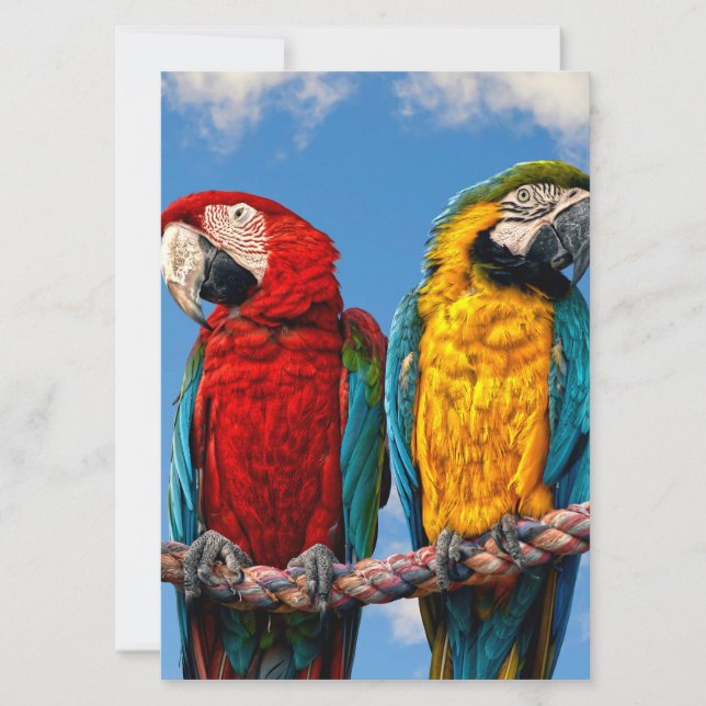 Convites Arara azul e amarela e arara-escarlate (Frente)