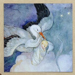 Convites Armazenamento e Bebê personalizáveis